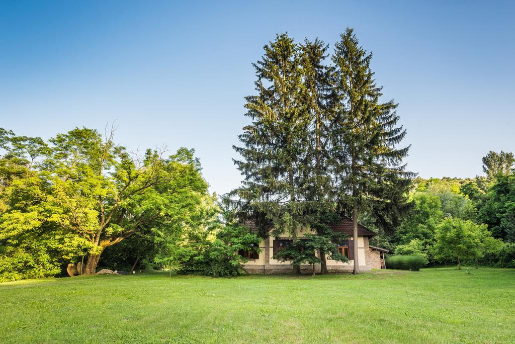 Almasi Reti Erdeszlak Villa Alsomocsolad Exterior photo